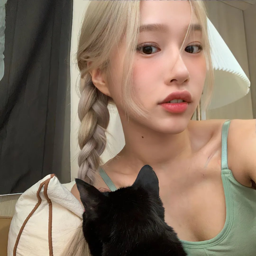 猫忍